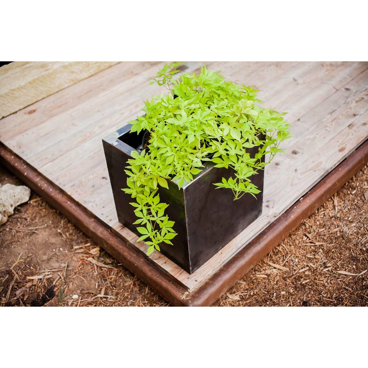 Bold MFG & Supply Planters Oakmont Steel Planters - Cube