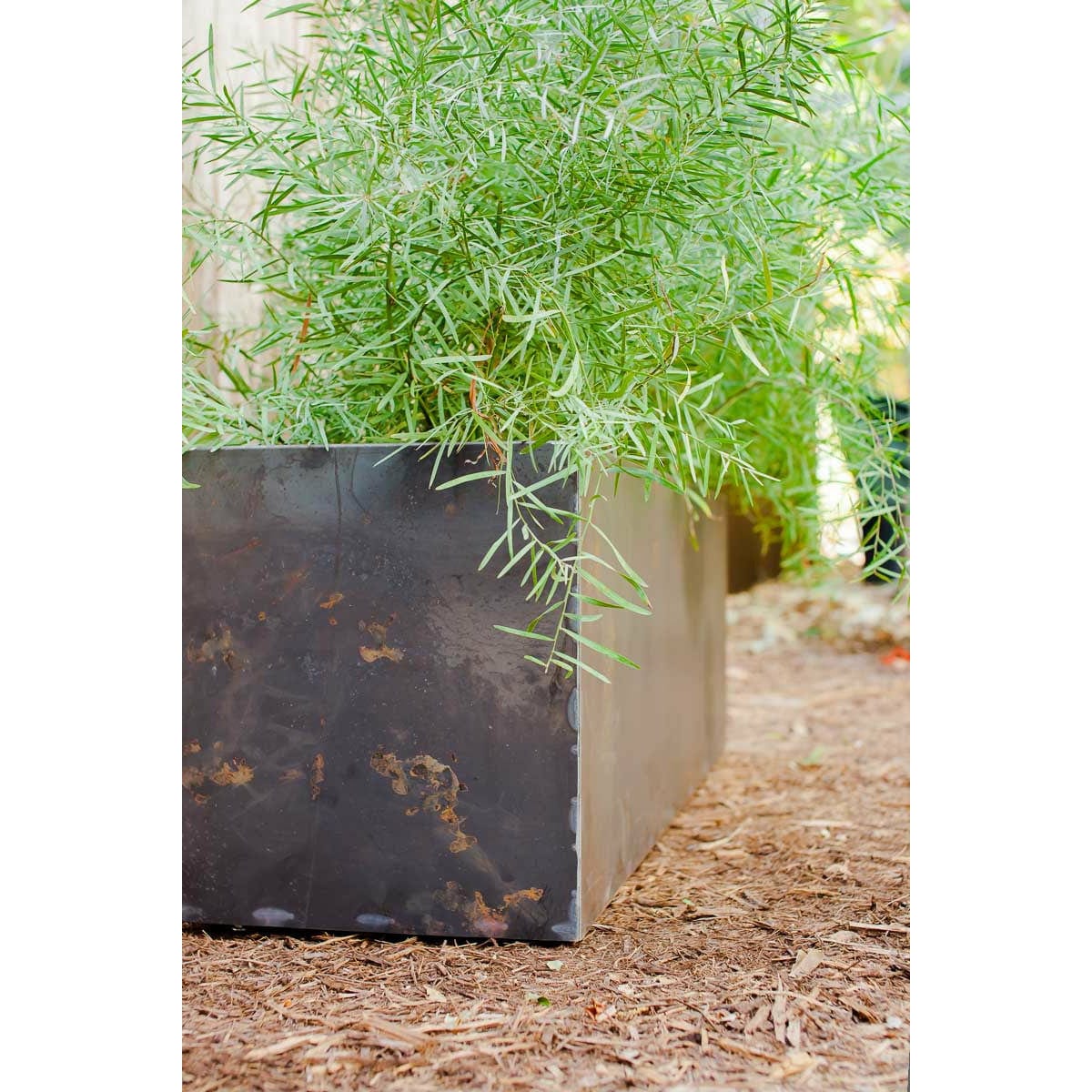 Bold MFG & Supply Planters Oakmont Steel Planters - Trough